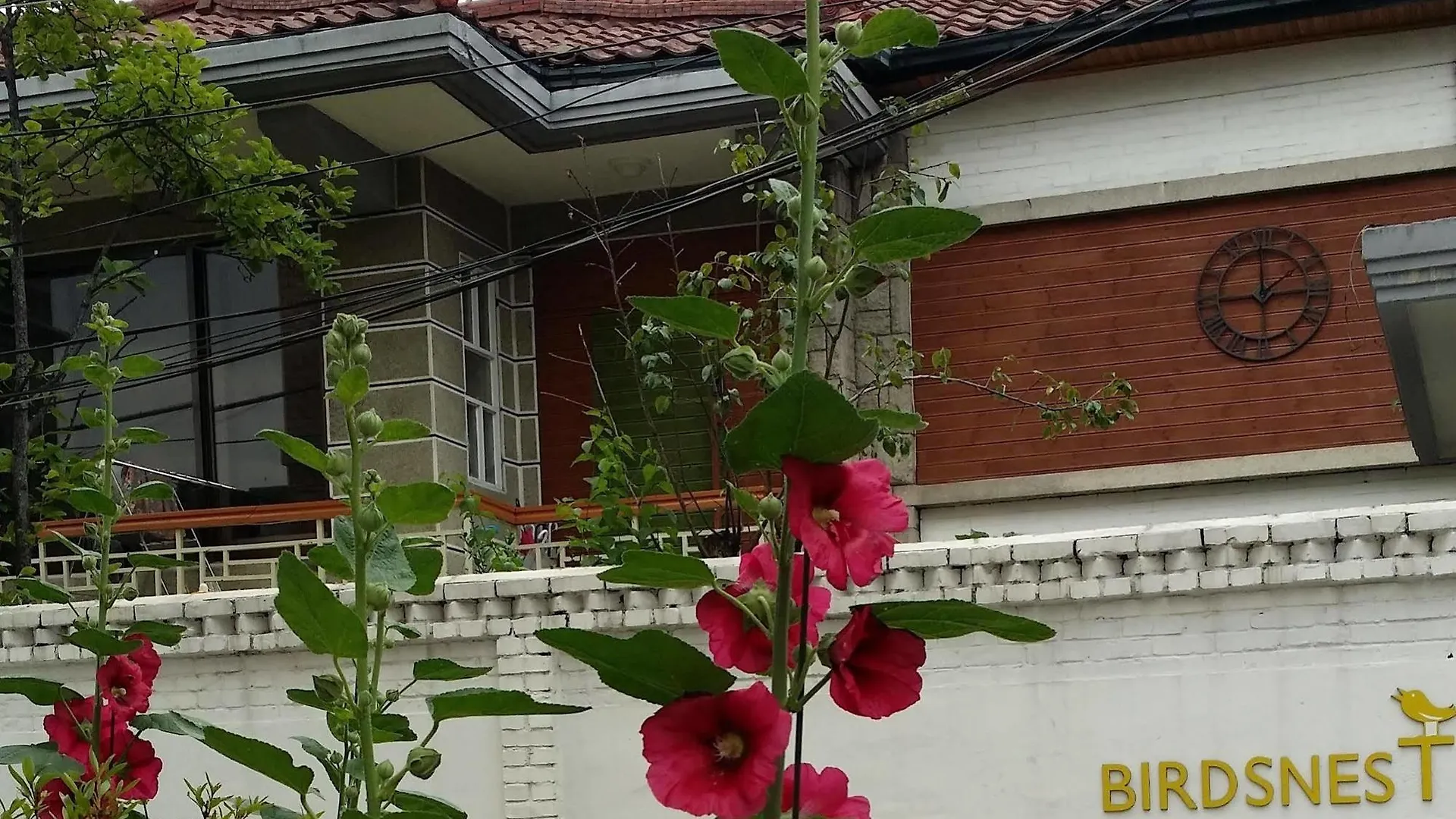 Birdsnest Hostel Hongdae Foreigner only Seoul