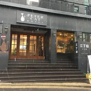 호텔 피터캣 신촌, 서울특별시