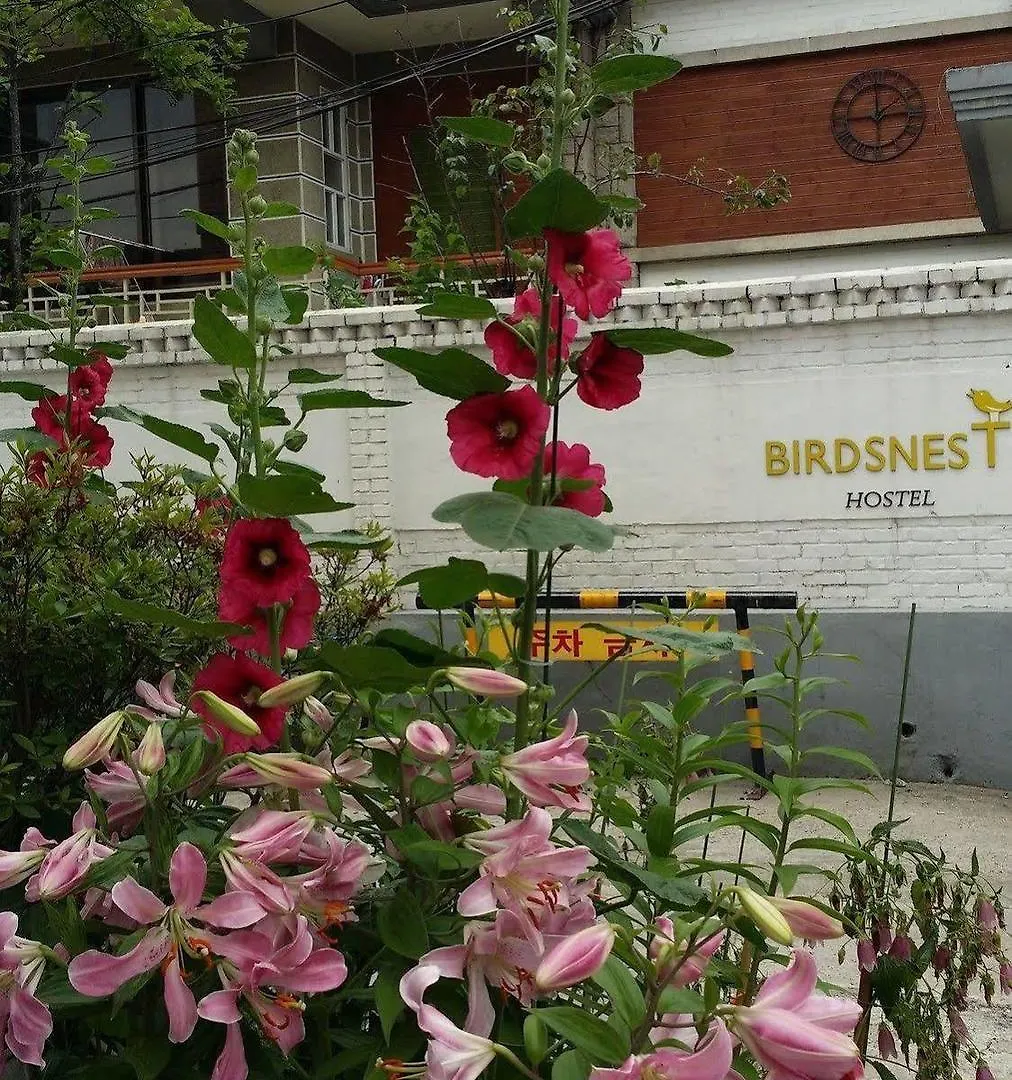 Birdsnest Hostel Hongdae Foreigner Only Seoul