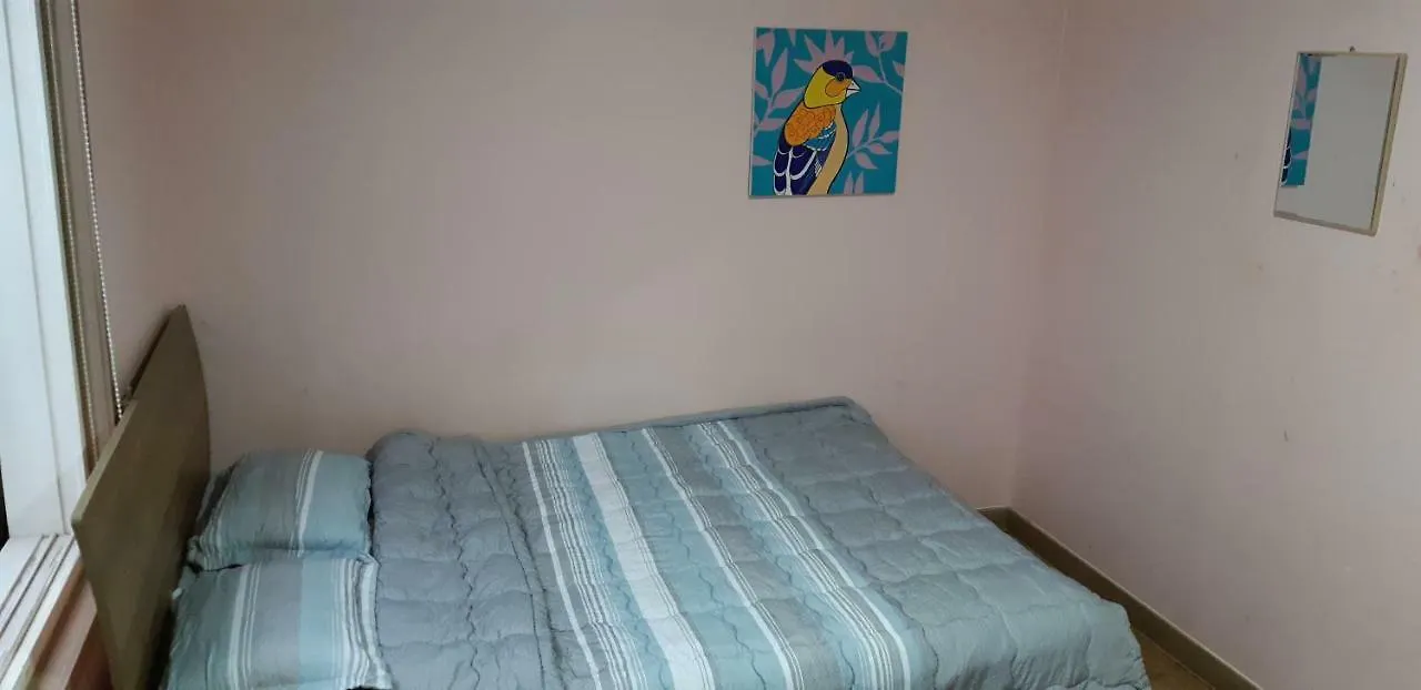 Birdsnest Hostel Hongdae Foreigner Only Seoul 0*,